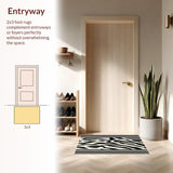 Ultra Soft Area Rug, Non Slip, Stain Resistant, Washable Area Rugs for Living Room, Bedroom, Contemporary Zebra Print Elegance(Black)