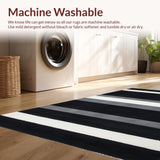 Ultra Soft Area Rug, Non Slip, Stain Resistant, Washable Area Rugs for Living Room, Bedroom, Sleek Abstract Monochrome Lines(Black)