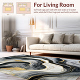 Ultra Soft Area Rug, Non Slip, Stain Resistant, Washable Area Rugs for Living Room, Bedroom, Chic Gray and Gold Composition(Black)