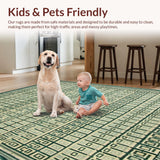 Ultra Soft Area Rug, Non Slip, Stain Resistant, Washable Area Rugs for Living Room, Bedroom, Beige Green Geometric Area Machine(Gray)