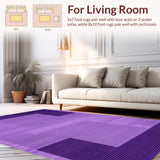Ultra Soft Area Rug, Non Slip, Stain Resistant, Washable Area Rugs for Living Room, Bedroom, Trendy Textured Colorful Haven(Purple)
