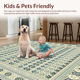 Ultra Soft Area Rug, Non Slip, Stain Resistant, Washable Area Rugs for Living Room, Bedroom, Beige Charm Fuzzy Area(Beige)