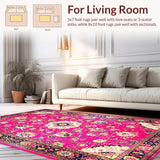 Ultra Soft Area Rug, Non Slip, Stain Resistant, Washable Area Rugs for Living Room, Bedroom, Exuberant Multi-Hued Artful Pattern(Pink)