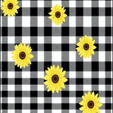 Bright Rustic Farmhouse Appeal(Black)
