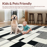 Ultra Soft Area Rug, Non Slip, Stain Resistant, Washable Area Rugs for Living Room, Bedroom, Reversible Black and White Striped Rug for Outdoor Entrance Decor(Gray)