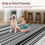 Ultra Soft Area Rug, Non Slip, Stain Resistant, Washable Area Rugs for Living Room, Bedroom, Rustic Minimalist Graphic Pattern(Black)