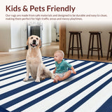 Ultra Soft Area Rug, Non Slip, Stain Resistant, Washable Area Rugs for Living Room, Bedroom, Chic Beachside Linear Design(Blue)