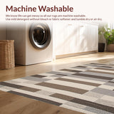 Ultra Soft Area Rug, Non Slip, Stain Resistant, Washable Area Rugs for Living Room, Bedroom, Elegant Graphite Diamond Motif(Beige)