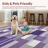Ultra Soft Area Rug, Non Slip, Stain Resistant, Washable Area Rugs for Living Room, Bedroom, Elegant Grey Purple Symmetrical Design(Purple)
