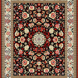 Ultra Soft Area Rug, Non Slip, Stain Resistant, Washable Area Rugs for Living Room, Bedroom, Brown Cream French-Style Bedroom Plush Medallion Carpet(Black)