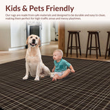 Ultra Soft Area Rug, Non Slip, Stain Resistant, Washable Area Rugs for Living Room, Bedroom, Luxury Soft Plaid Coastal Influence(Brown)