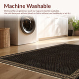 Ultra Soft Area Rug, Non Slip, Stain Resistant, Washable Area Rugs for Living Room, Bedroom, Earthy Toned Country Aesthetic(Black)