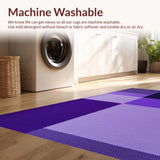 Ultra Soft Area Rug, Non Slip, Stain Resistant, Washable Area Rugs for Living Room, Bedroom, Stylish Shaggy Contemporary Vibe(Purple)