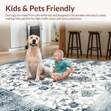 Ultra Soft Area Rug, Non Slip, Stain Resistant, Washable Area Rugs for Living Room, Bedroom, Artful Distressed Geometric Aesthetic(White)
