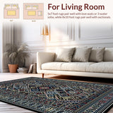 Ultra Soft Area Rug, Non Slip, Stain Resistant, Washable Area Rugs for Living Room, Bedroom, Artful Linear Ethnic Aesthetic(Black)