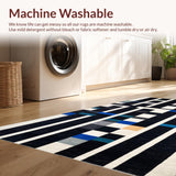 Ultra Soft Area Rug, Non Slip, Stain Resistant, Washable Area Rugs for Living Room, Bedroom, Chic Boho Linear Rug With Contrasting Bands For Contemporary Decor(Black)