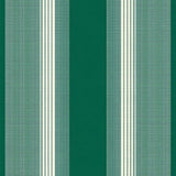 Bold Minimalist Striped Design(Green)