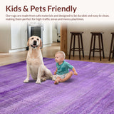 Ultra Soft Area Rug, Non Slip, Stain Resistant, Washable Area Rugs for Living Room, Bedroom, Playful Ultra-Soft Color Blend(Purple)