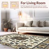 Inspired Shag & Non Shedding Cream Tan Extra Large(Beige)