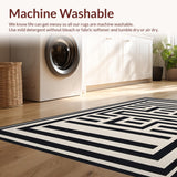 Ultra Soft Area Rug, Non Slip, Stain Resistant, Washable Area Rugs for Living Room, Bedroom, Contemporary Abstract Lattice Aesthetic(Black)