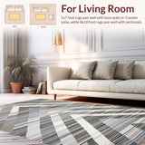 Ultra Soft Area Rug, Non Slip, Stain Resistant, Washable Area Rugs for Living Room, Bedroom, Elegant Abstract Grey Aesthetic(Gray)