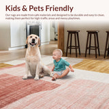 Ultra Soft Area Rug, Non Slip, Stain Resistant, Washable Area Rugs for Living Room, Bedroom, Blush Symphony: Plush, Harmonious Rug(Pink)