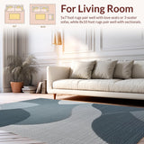Ultra Soft Area Rug, Non Slip, Stain Resistant, Washable Area Rugs for Living Room, Bedroom, Neutral Abstract Living Room Low Pile Carpet(Gray)