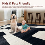 Ultra Soft Area Rug, Non Slip, Stain Resistant, Washable Area Rugs for Living Room, Bedroom, Striped Elegance Rug(Black)