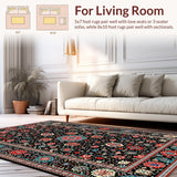 Ultra Soft Area Rug, Non Slip, Stain Resistant, Washable Area Rugs for Living Room, Bedroom, Modern Abstract Geometric Aesthetic(Black)