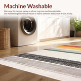 Ultra Soft Area Rug, Non Slip, Stain Resistant, Washable Area Rugs for Living Room, Bedroom, Contemporary Multicolor Tassel Accent(Orange)
