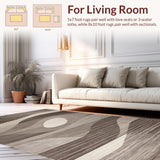 Ultra Soft Area Rug, Non Slip, Stain Resistant, Washable Area Rugs for Living Room, Bedroom, Contemporary Abstract Swirl Aesthetic(Gray)