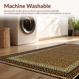 Ultra Soft Area Rug, Non Slip, Stain Resistant, Washable Area Rugs for Living Room, Bedroom, Colorful Artistic Animal Design(Brown)
