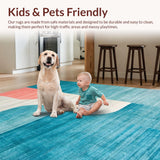 Ultra Soft Area Rug, Non Slip, Stain Resistant, Washable Area Rugs for Living Room, Bedroom, Aqua Multicolor Gradient Rug(Blue)