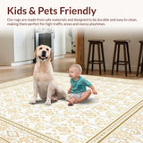 Ultra Soft Area Rug, Non Slip, Stain Resistant, Washable Area Rugs for Living Room, Bedroom, Chic Vintage Inspired Area Runner with Unique Design Elements(Beige)