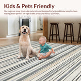 Ultra Soft Area Rug, Non Slip, Stain Resistant, Washable Area Rugs for Living Room, Bedroom, Vibrant Abstract Stripe Fusion(Gray)