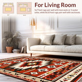 Ultra Soft Area Rug, Non Slip, Stain Resistant, Washable Area Rugs for Living Room, Bedroom, Bold Earthy Abstract Visuals(Red)