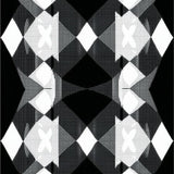 Elegant Minimalist Trellis(Black)