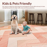 Ultra Soft Area Rug, Non Slip, Stain Resistant, Washable Area Rugs for Living Room, Bedroom, Vibrant Transitional Lattice Patterns(Pink)