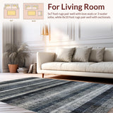 Ultra Soft Area Rug, Non Slip, Stain Resistant, Washable Area Rugs for Living Room, Bedroom, Graphic Zebra: Striped Decor Rug, Contemporary Floor Art(Gray)