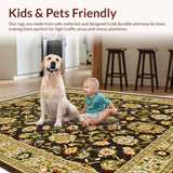 Ultra Soft Area Rug, Non Slip, Stain Resistant, Washable Area Rugs for Living Room, Bedroom, Brown Beige Area Rug for Home Office(Beige)