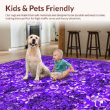 Ultra Soft Area Rug, Non Slip, Stain Resistant, Washable Area Rugs for Living Room, Bedroom, Delightful Soft Textured Furry Touch(Purple)