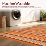Ultra Soft Area Rug, Non Slip, Stain Resistant, Washable Area Rugs for Living Room, Bedroom, Elegant Tassel Accented Style(Orange)