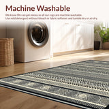 Ultra Soft Area Rug, Non Slip, Stain Resistant, Washable Area Rugs for Living Room, Bedroom, Rustic Geometric Motif with Tassels(Black)