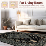 Ultra Soft Area Rug, Non Slip, Stain Resistant, Washable Area Rugs for Living Room, Bedroom, Dark Elegant Abstract Motif(Black)