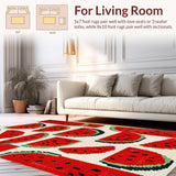 Ultra Soft Area Rug, Non Slip, Stain Resistant, Washable Area Rugs for Living Room, Bedroom, Charming Outdoor Picnic Vibe(Red)