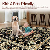 Ultra Soft Area Rug, Non Slip, Stain Resistant, Washable Area Rugs for Living Room, Bedroom, Elegant Floral Paisley Aesthetic(Black)