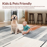 Ultra Soft Area Rug, Non Slip, Stain Resistant, Washable Area Rugs for Living Room, Bedroom, Rustic Geometric Color Play(Gray)