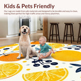 Ultra Soft Area Rug, Non Slip, Stain Resistant, Washable Area Rugs for Living Room, Bedroom, Delightful Fresh Fruit Design Elements(Orange)