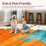 Ultra Soft Area Rug, Non Slip, Stain Resistant, Washable Area Rugs for Living Room, Bedroom, Radiant Contemporary Color Palette(Orange)