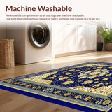 Ultra Soft Area Rug, Non Slip, Stain Resistant, Washable Area Rugs for Living Room, Bedroom, Kids Learning Mat with and Colorful Accents(Blue)